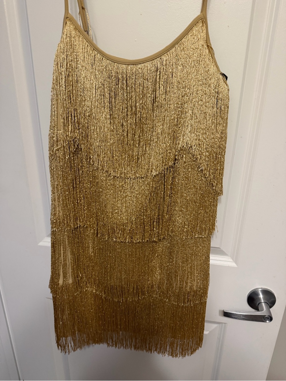 Show Me Your Mumu Gold Fringe Slip Mini Dress